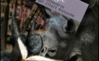 Le Rhinocéros qui citait Nietzsche | The Rhinoceros who Quoted Nietzsche and Other Odd Acquaintances | Peter Soyer Beagle | 1997